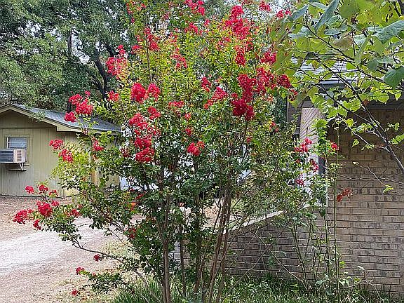 Front plant beds