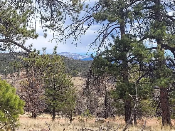 469 Chateau Vis, Florissant, CO 80816