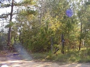 2nd image of 61 Bedwell Rd