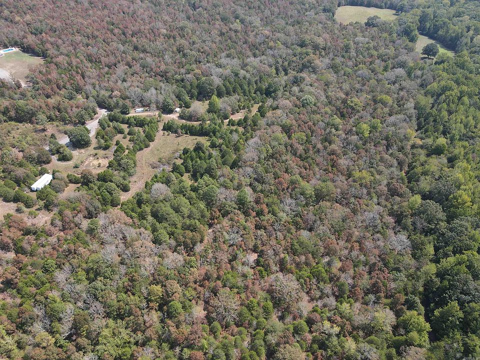 2nd image of Turkey Mountain Rd