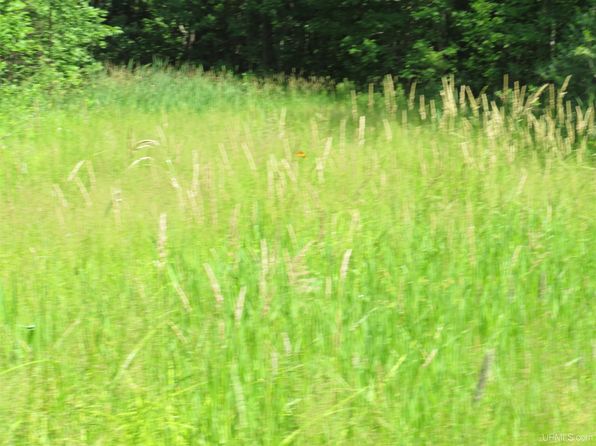 Curlew Rd, Ontonagon, MI 49953