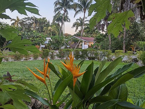 Looking northwest (front)