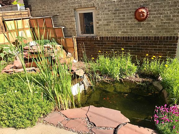 Outdoor pond and waterfall