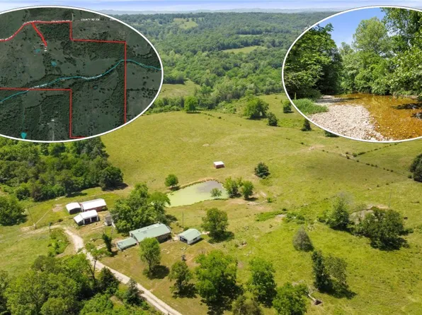 135 Blaine Layne Drive, Gainesville, MO 65655