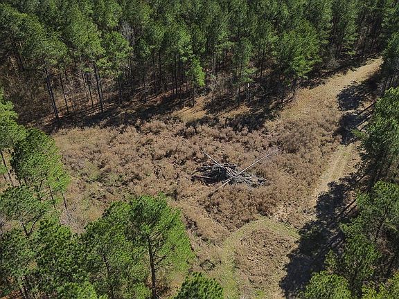 4th image of 5 W Jess Lyons Rd