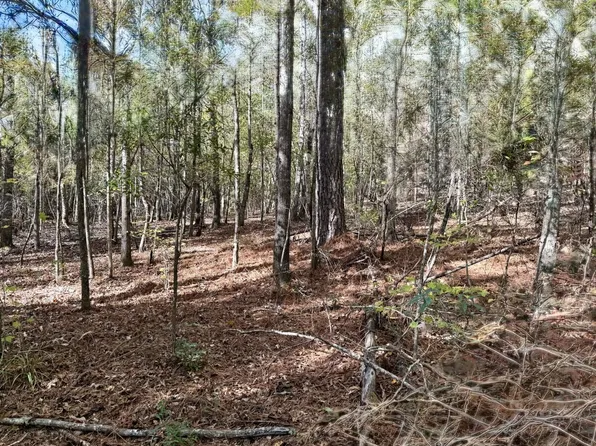 13561 Fondren Rd, Northport, AL 35475