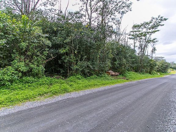 3rd image of 28th Avenue Poha Lot 632