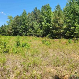0 Driskell Bridge Rd, Harleton, TX, 75651