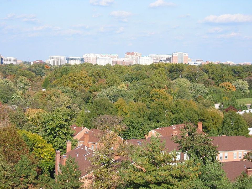 View from Balcony