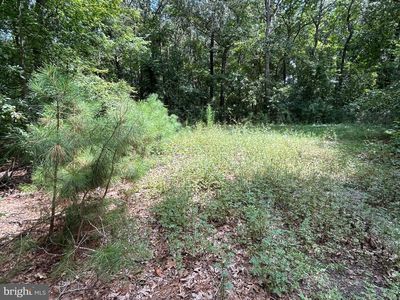 34179 Split Rail Ln, Frankford, DE, 19945