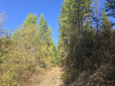 3 Sand Creek Rd, Kettle Falls, WA, 99141