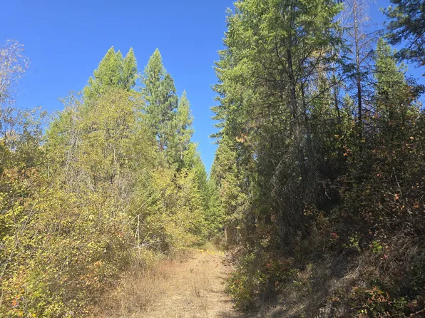 3 Sand Creek Rd, Kettle Falls, WA 99141