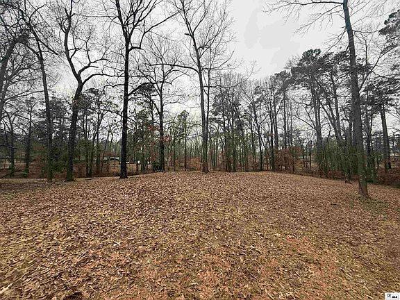 3rd image of 115 Thompson Rd