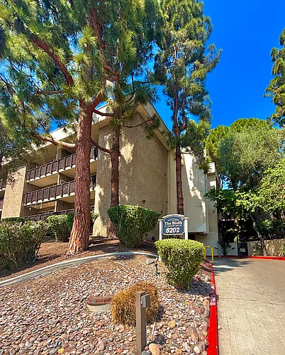6202 Friars Rd #302 Photo 1