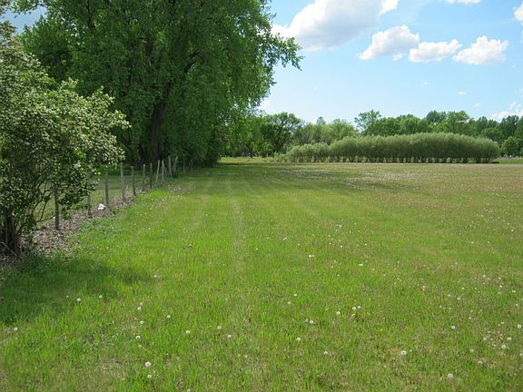 Shelter belt of trees