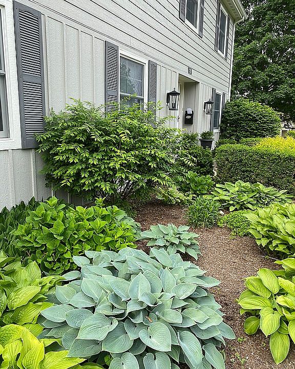 2nd image of 339 Surrey Rd