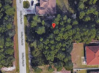 41 Rolling Fern Dr, Palm Coast, FL 32164