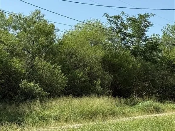 (undisclosed Address), Ben Bolt, TX 78342