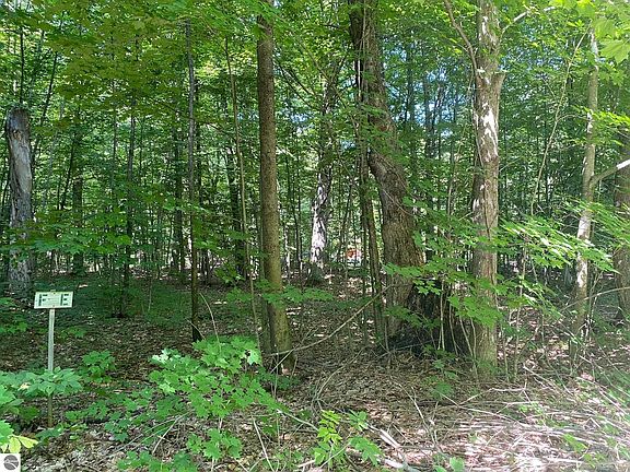 2nd image of 0 Brandon Dr
