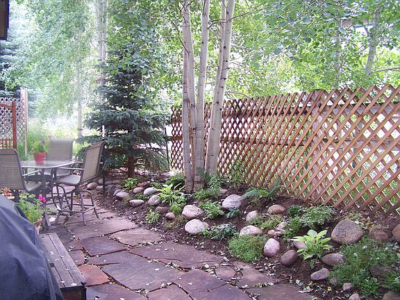 Back Patio