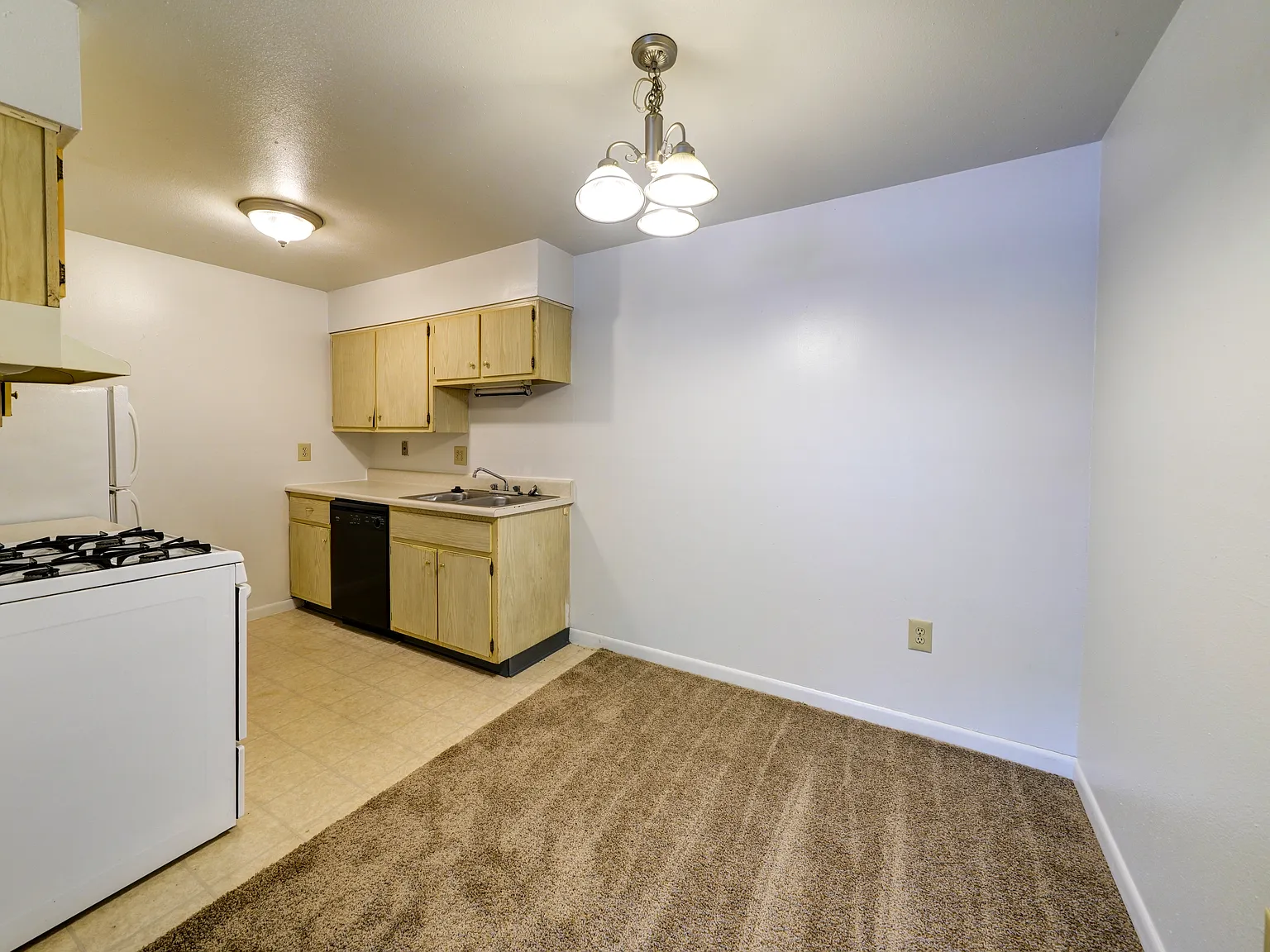 Terra Trace Apartments — Photo 4