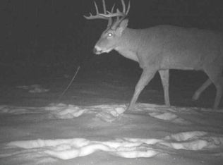 27262 151st Ave, Bagley, MN 56621