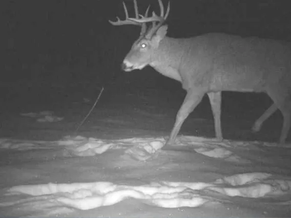 27262 151st Ave, Bagley, MN 56621