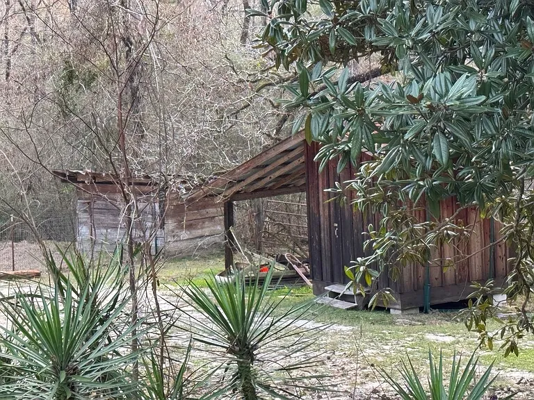 5368 Longleaf Vista Rd — Photo 23