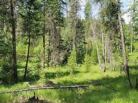 4th image of LOT 2 Meadow Springs Rd