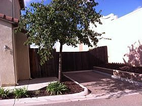 3rd image of 811 E Tulip Ln