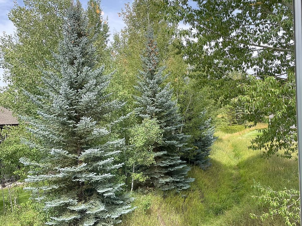 View out the dining room and primary bedroom windows.