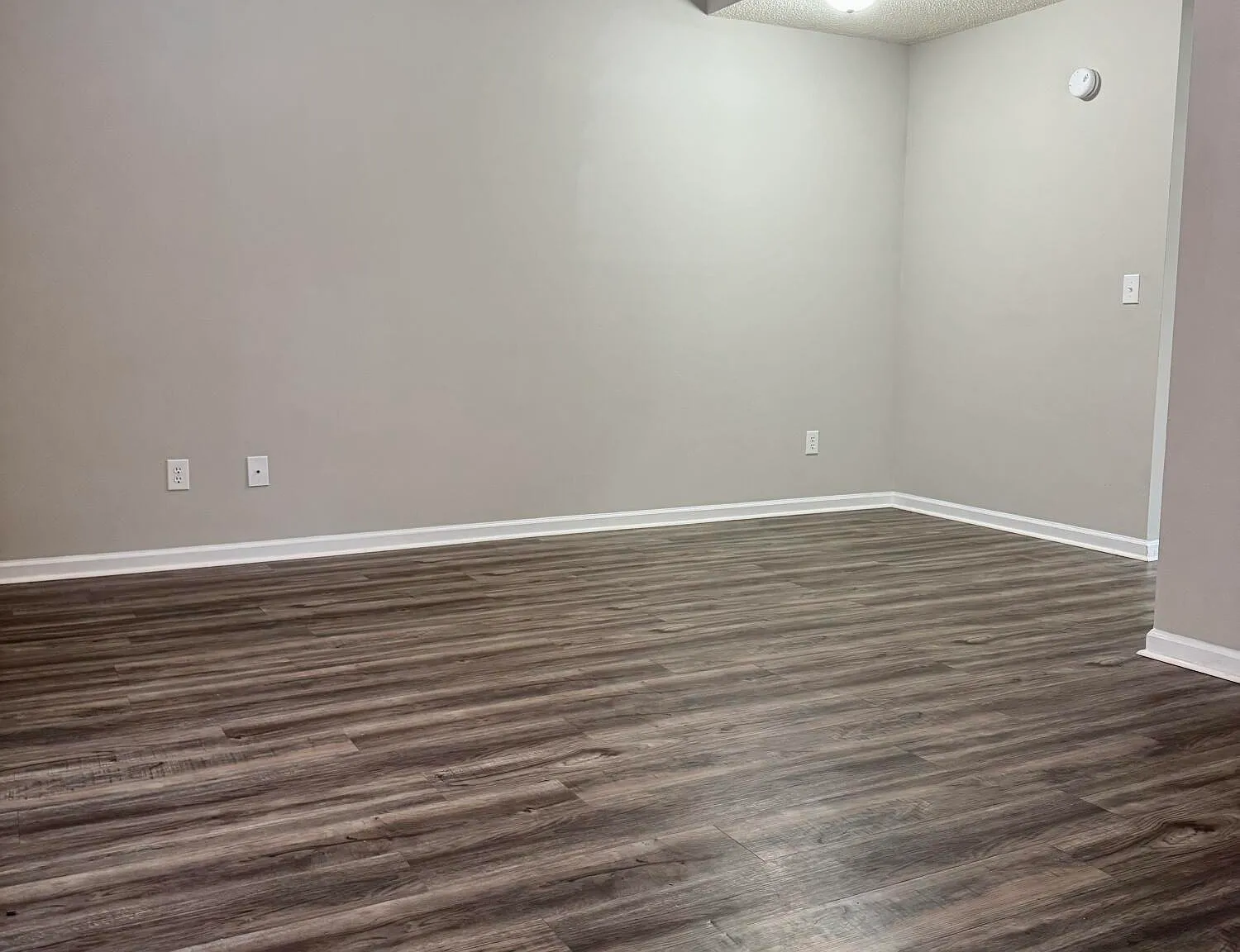 1 bed, 1.0 bath, $875 — Photo 3