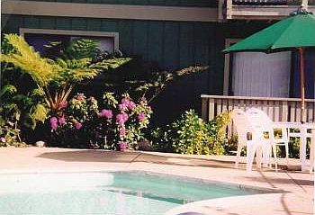 5th image of 501 Camino Aguajito APT 105