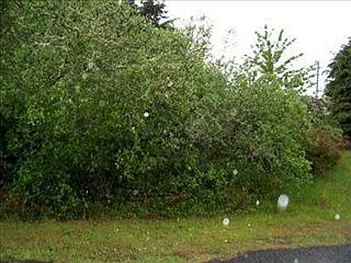 569 Weatherwax Loop NE photo 1