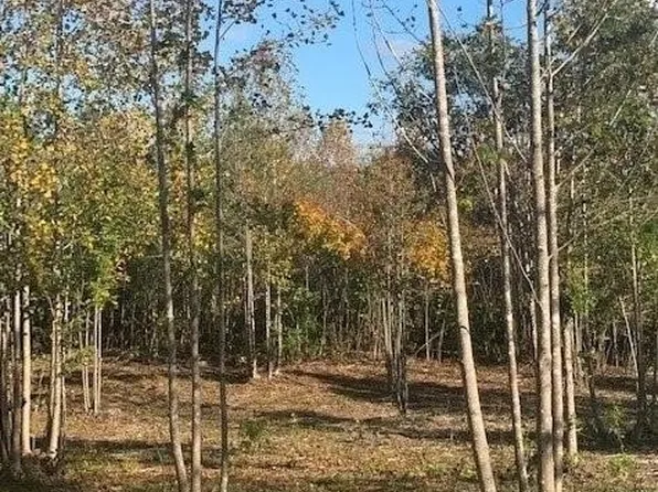 Hadensville Farm Rd, Mineral, VA 23117