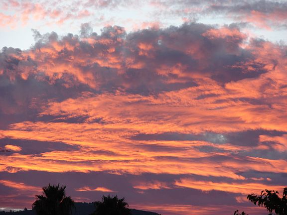 Morning sunrise
