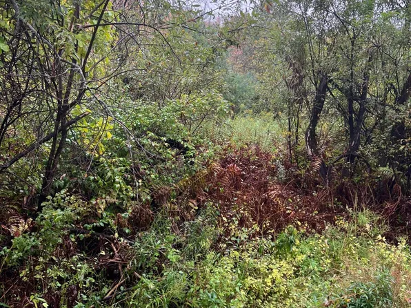 406-31.9 Arthur Pease Rd, Middlefield, MA 01243