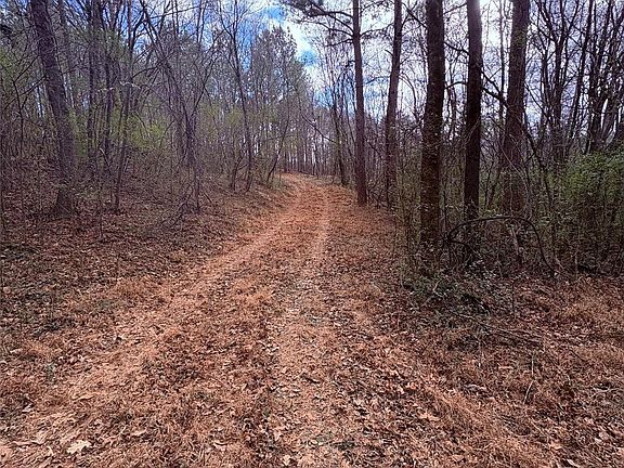 5th image of 0 Vacant Neck Hwy #138