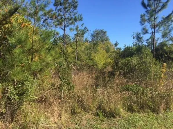 Bonnie Ln, Covington, LA 70435