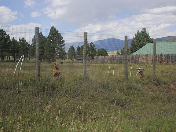 3rd image of 62 Cerro Verde Rd