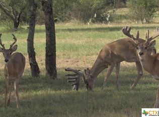 0 Well Pad Rd, George West, TX 78022