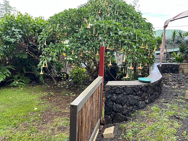 45-3688 Hau Rd — Photo 21