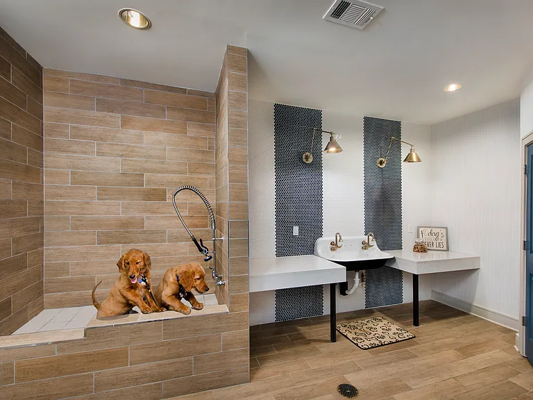 Pamper your pet with an on-site washing station