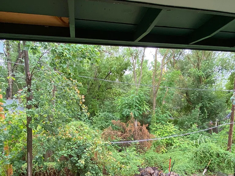 View from main level porch. Trees lining Emigration Creek and Allen Park