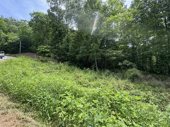 394 Eagles Roost, Bryson City, NC 28713