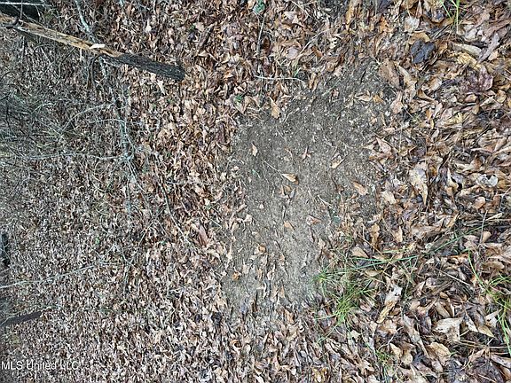 3rd image of 602 Ship Island Rd