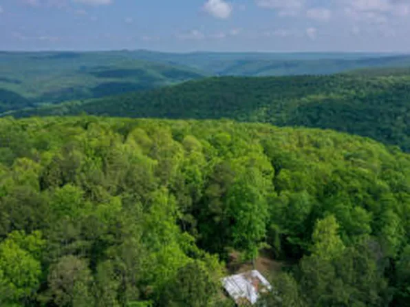 (undisclosed Address), Hector, AR 72843