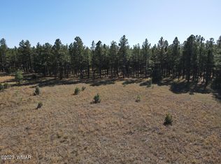 4 Birdsong Way, Lakeside, AZ 85929