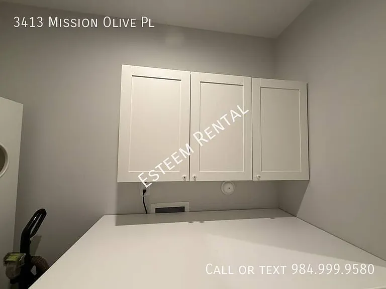 3413 Mission Olive Pl — Photo 23