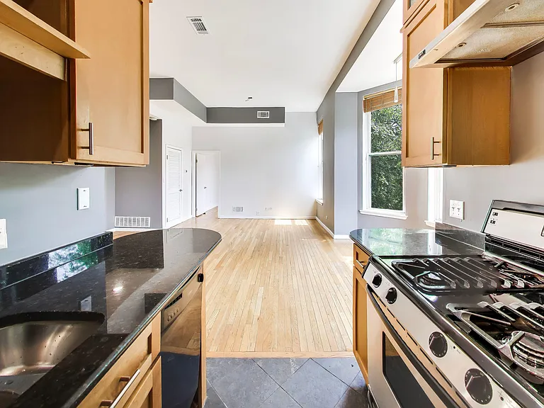 223 W Wisconsin St #2D — Photo 10